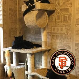 Meet your Posher, Gwen